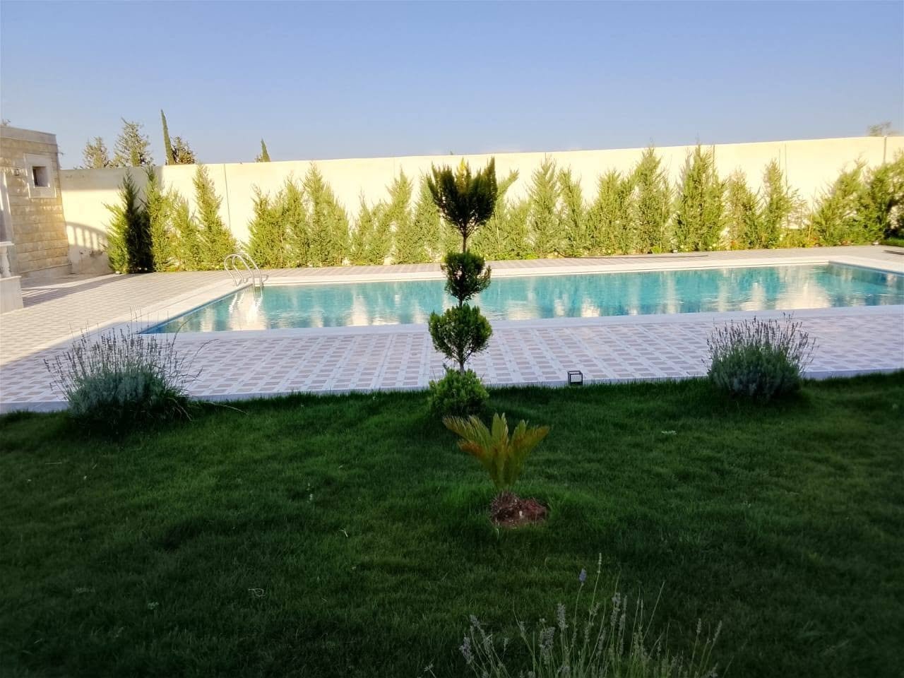 ريف دمشق-دروشا