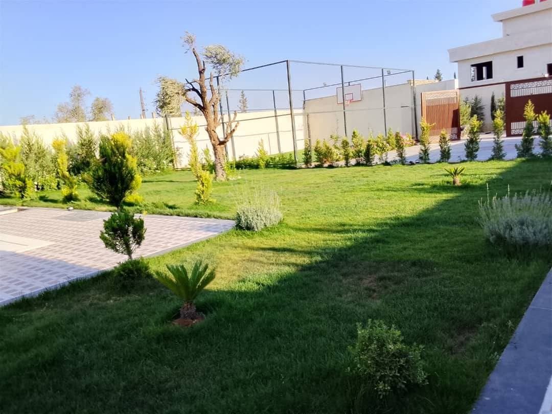 ريف دمشق-دروشا